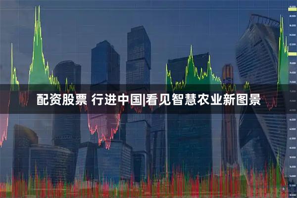 配资股票 行进中国|看见智慧农业新图景