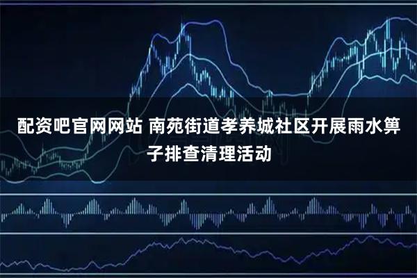 配资吧官网网站 南苑街道孝养城社区开展雨水箅子排查清理活动